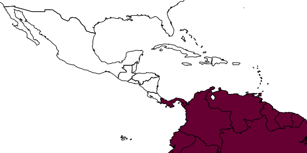map of Tachytes pretiosus     Cameron, 1912